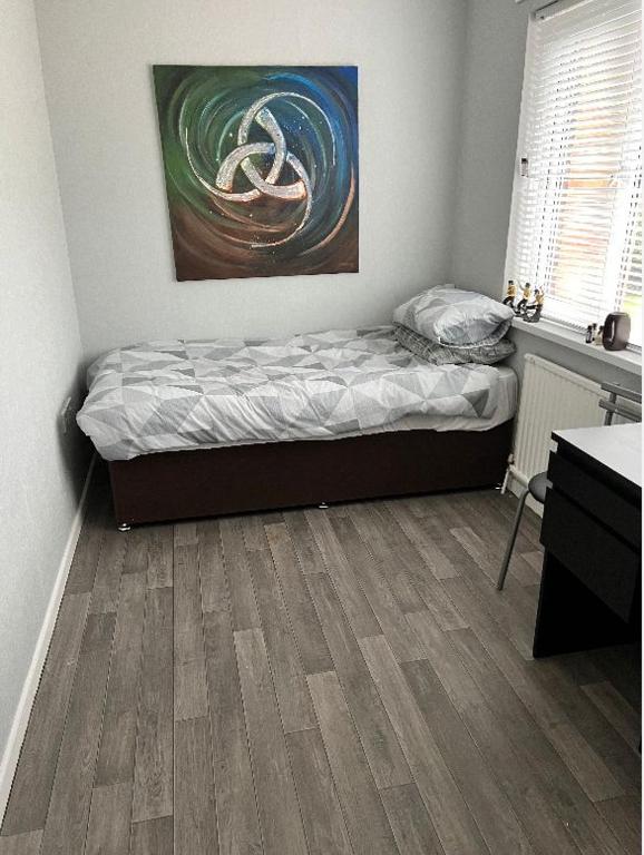 a bedroom with a bed and a painting on the wall at Macs Belfast Single bedroom in Belfast