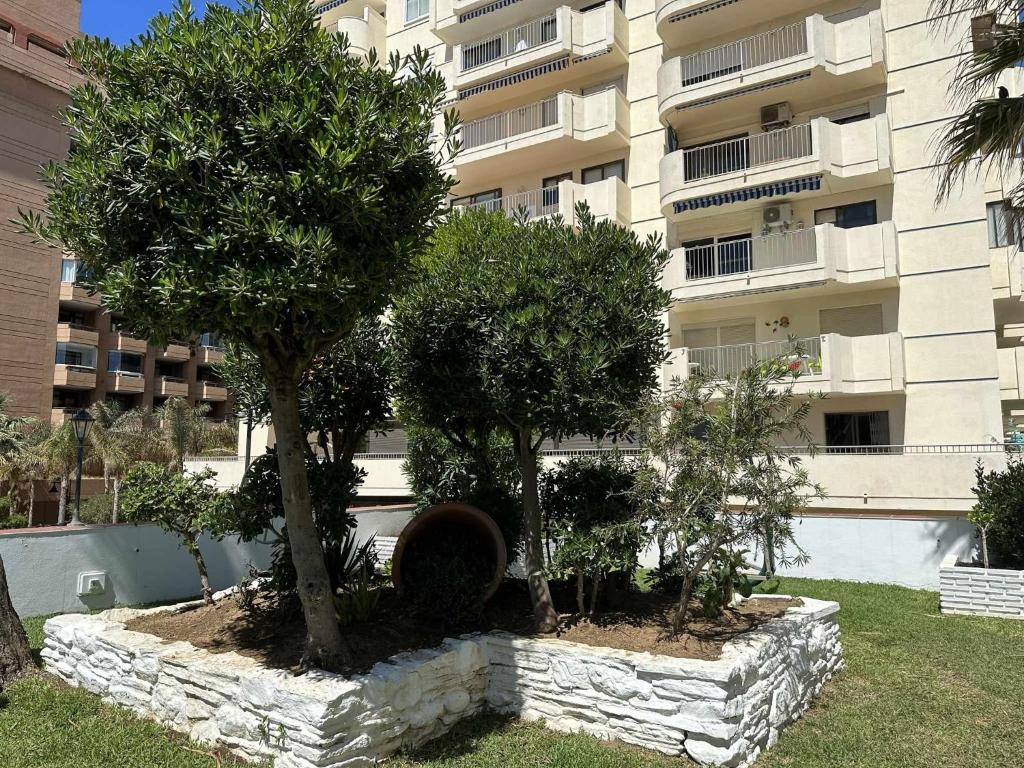 Vonkajšia záhrada v ubytovaní Estudio PYR privado con vistas al mar