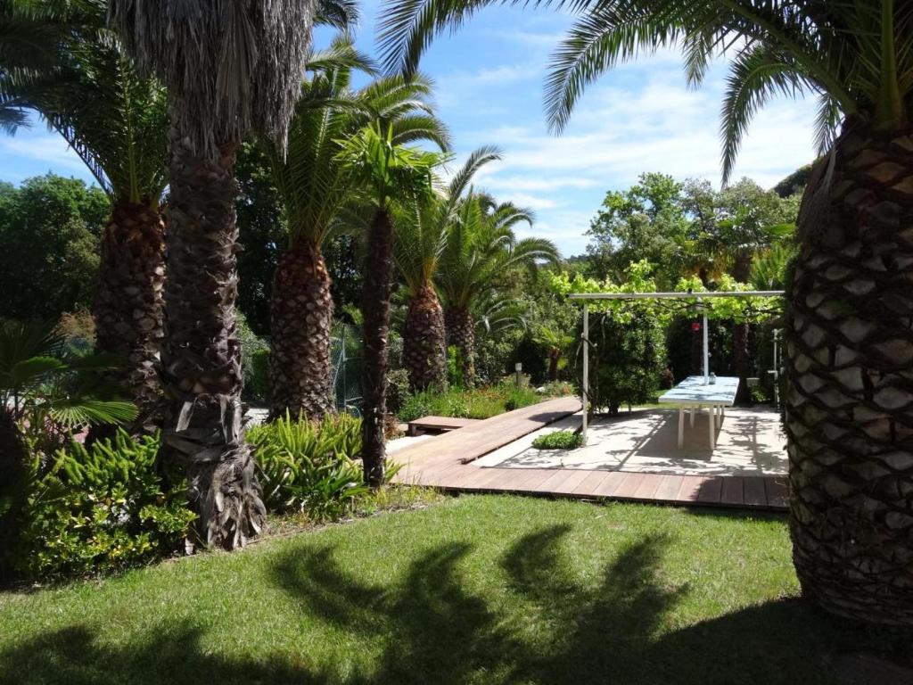 un jardín con palmeras y un columpio en Le Mas de la Palmeraie - Mas 3 dans propriété privée au calme avec piscine et tennis, en Bormes-les-Mimosas