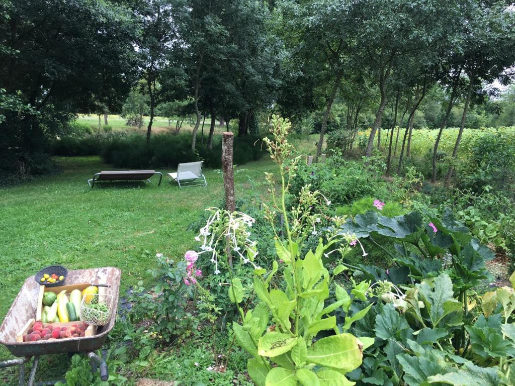 a garden with a basket of fruits and vegetables at Maison d hôtes Les Chantours dans réserve naturelle 15 hectares in Saint-Antoine-Cumond