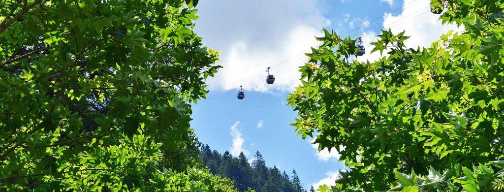 Hosté ubytování Panoramablick Ferienwohnungen