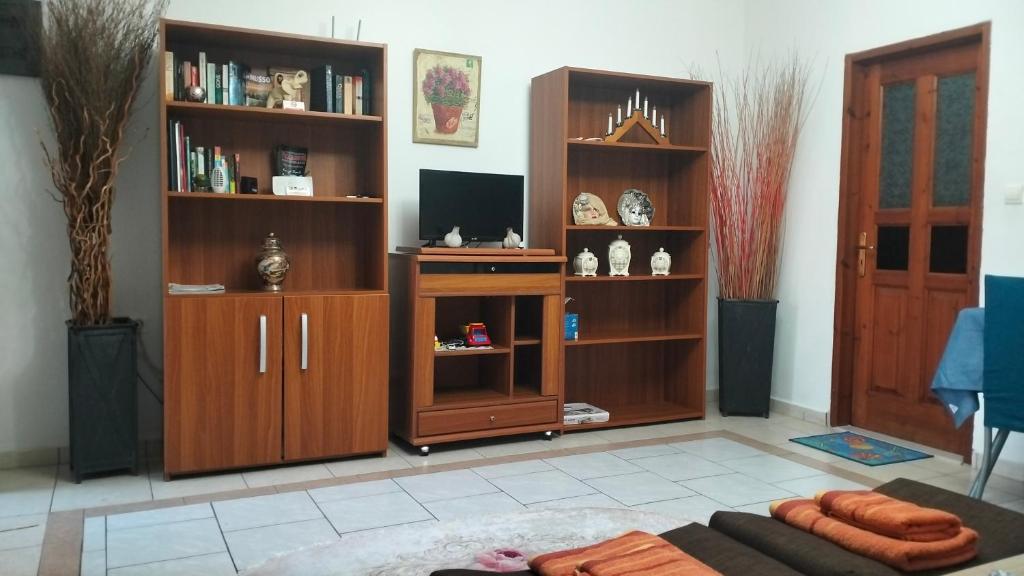 TV a/nebo společenská místnost v ubytování Old House