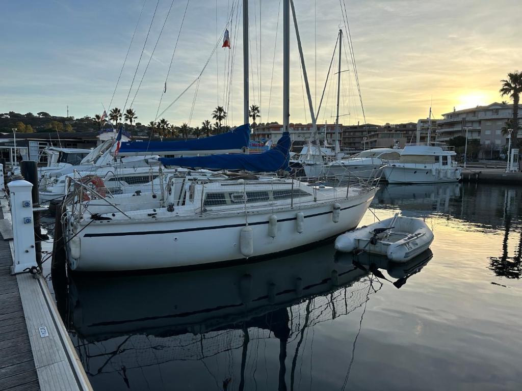 a group of boats are docked in a marina at Séjour atypique sur un voilier proche toutes commodités in Cavalaire-sur-Mer