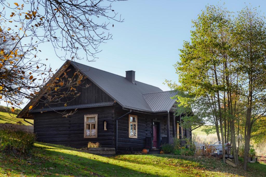 a wooden house with a black roof at WsiaMać in Odrzykoń