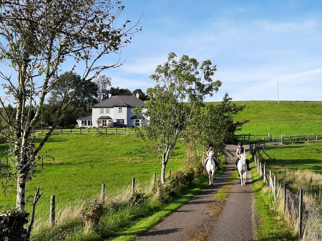 two people riding horses down a road in a field at Drummonds House in Sligo