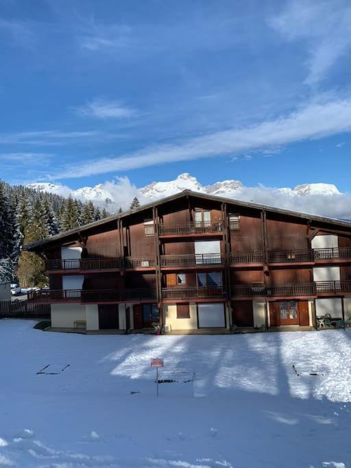 Chalet le Daim appartement 6 pers Vue Mont-Blanc v zimě