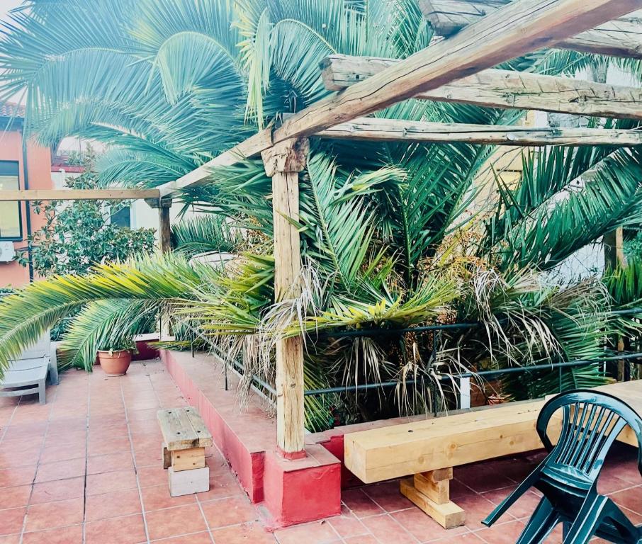 d'une terrasse avec un banc en bois et des palmiers. dans l'établissement Apartamentos Gran Via Musicales, à Madrid