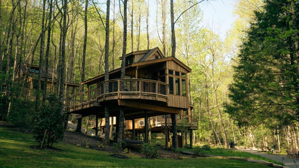 a tree house in the middle of the forest at The Magnolia in Treehouse Grove at Norton Creek in Gatlinburg