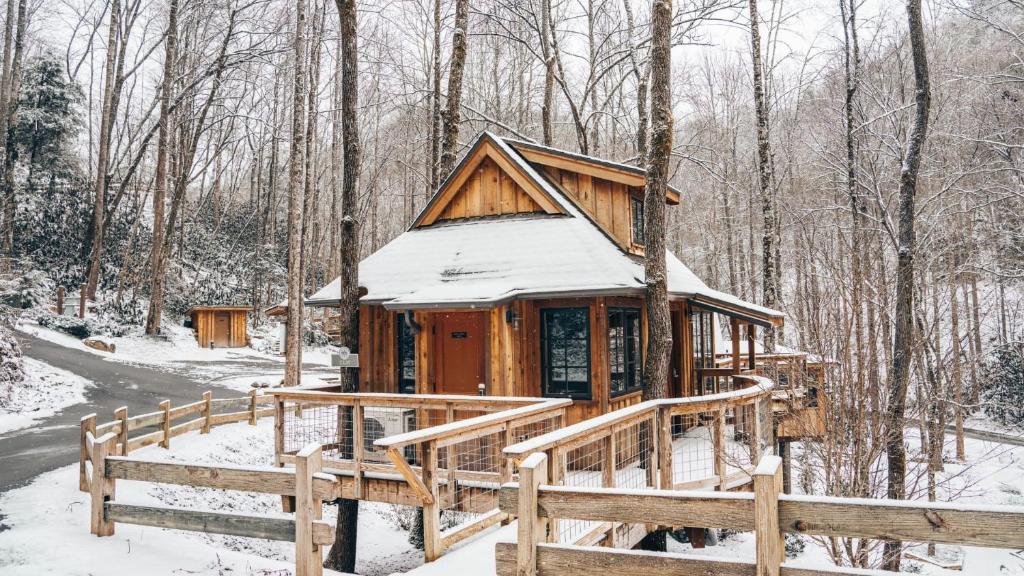 The Elm in Treehouse Grove at Norton Creek om vinteren