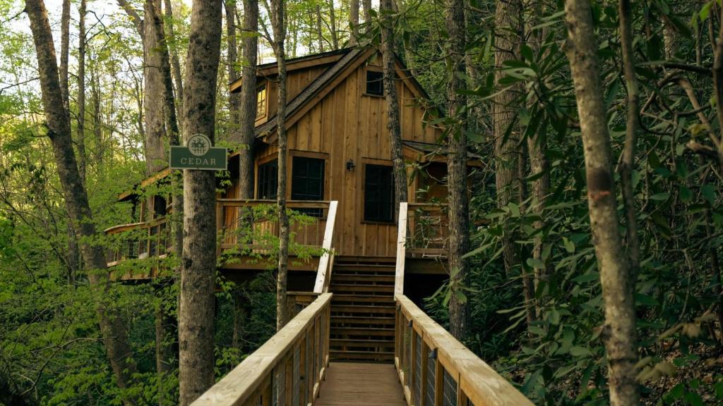 a tree house in the middle of the forest at The Cedar in Treehouse Grove at Norton Creek in Gatlinburg