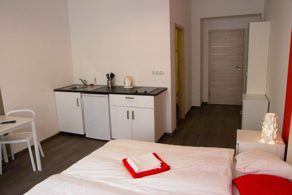 Kuchyň nebo kuchyňský kout v ubytování Budget Apartment