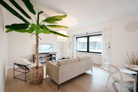 - un salon avec un canapé et un palmier dans l'établissement Chic & Spacious City Center Retreat in Belair, à Luxembourg