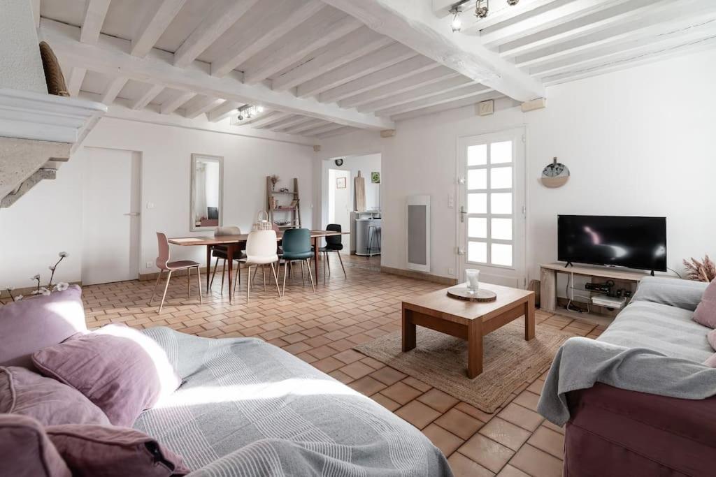 ein Wohnzimmer mit Sofa und Fernseher in der Unterkunft La villa des mouettes in Biscarrosse