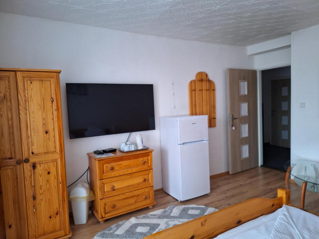 Kuchyň nebo kuchyňský kout v ubytování Vila Gabriel