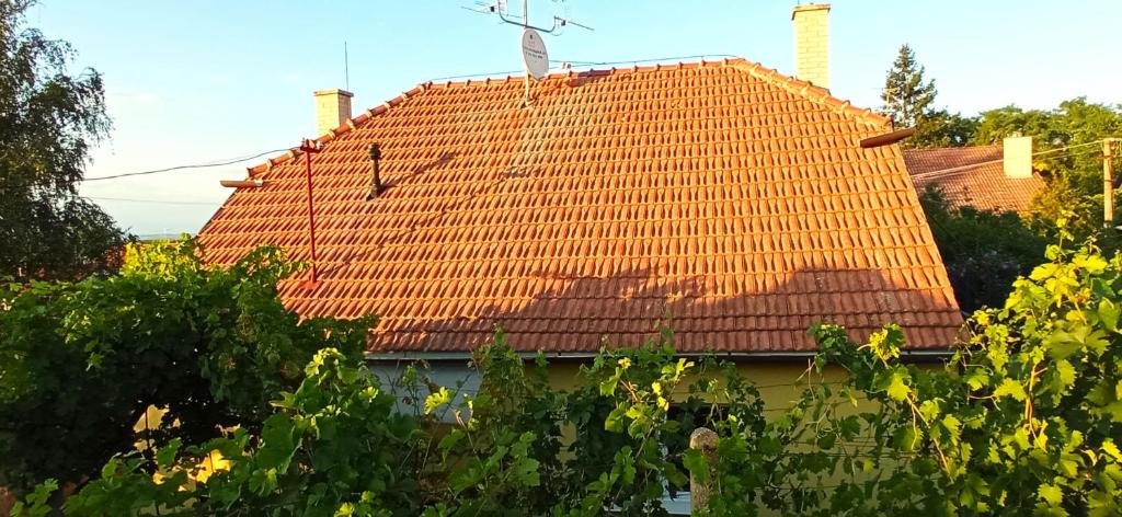 Fotografie z fotogalerie ubytování Domek na vinohradech v Hlohovci