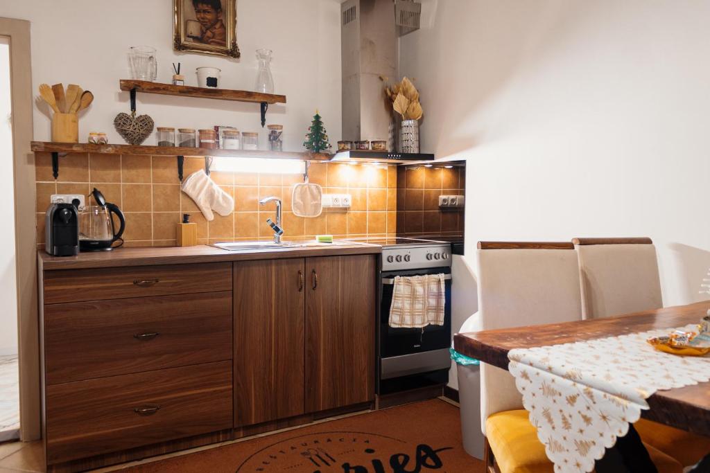 Kuchyňa alebo kuchynka v ubytovaní Apartmány Berries