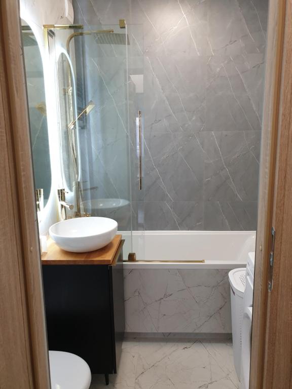 イワヴァにあるApartament Kościuszki Iławaの洗面台、トイレ、シャワー付きのバスルーム