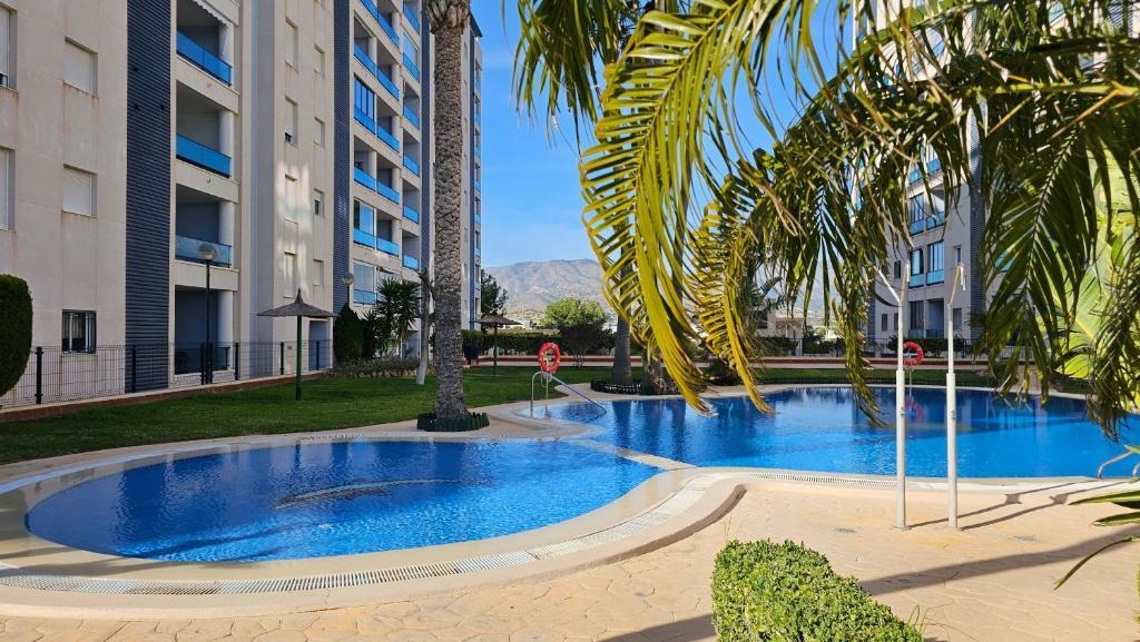 a swimming pool with a palm tree and buildings at TERRAMAR sweet home in Villajoyosa