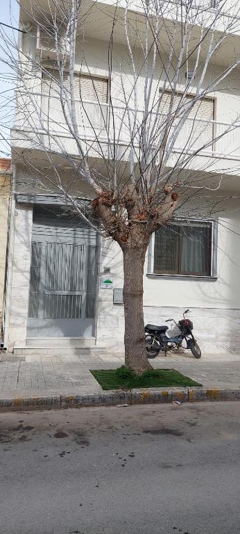 a motorcycle parked next to a house with a tree at Yianni's Home-Comfort Apartment in Volos in Volos