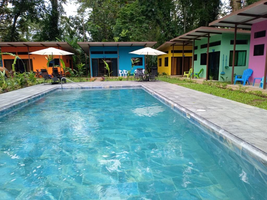 uma grande piscina em frente a uma casa em Caribbean Blue Morpho Casitas em Talamanca