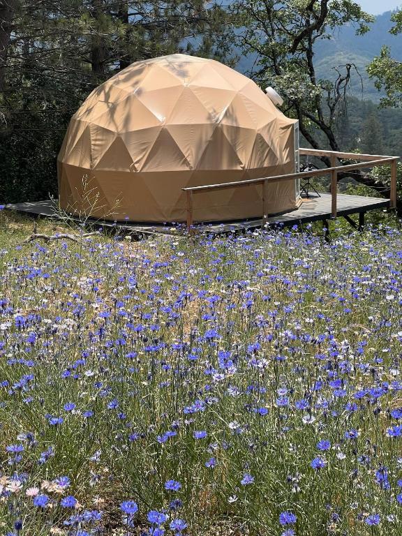 Zahrada ubytování Glamping Dome 1 - 10 minutes from Kings Canyon