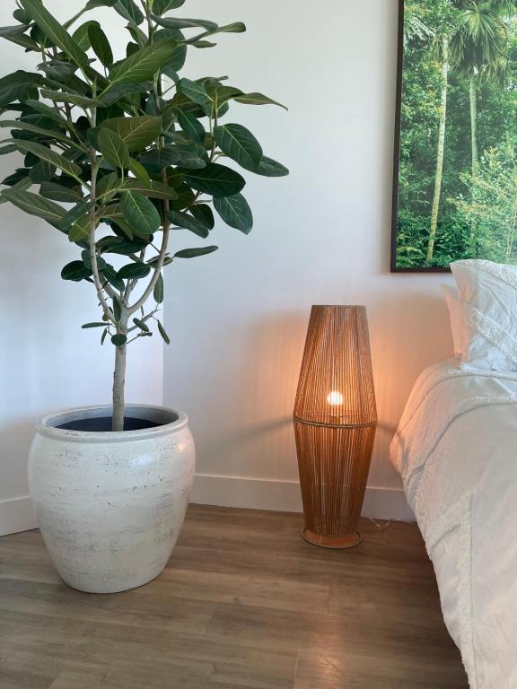 a plant in a white pot next to a lamp at Extraordinary Escape with Rooftop Pool 2 in San Diego