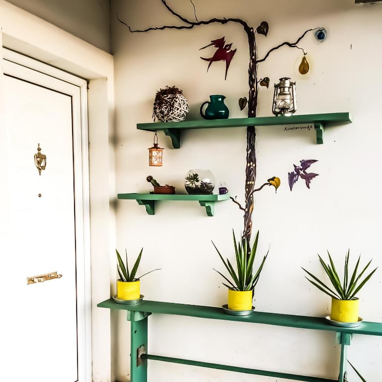 ein Zimmer mit grünen Regalen an der Wand mit Pflanzen in der Unterkunft Your Spot West Peloponnese in Zakharo