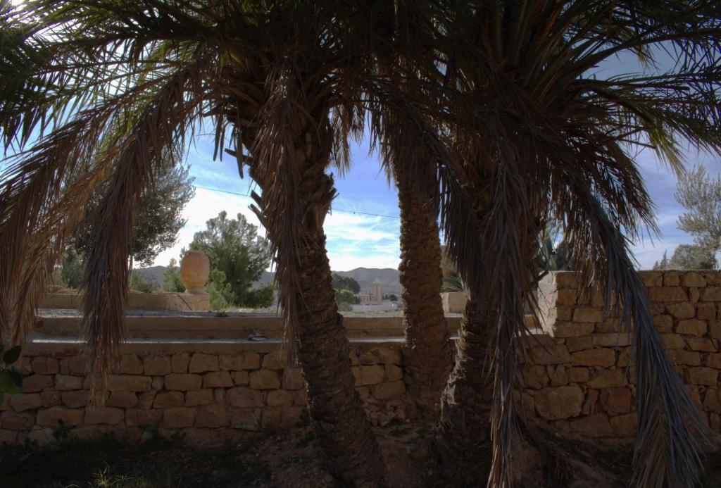 Fotografie z fotogalerie ubytování Maison d'hôtes DAR DRISS v destinaci Matmata