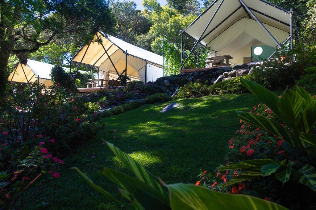 un giardino verde con una casa e alcune piante di LUXURY ECO a Boquete