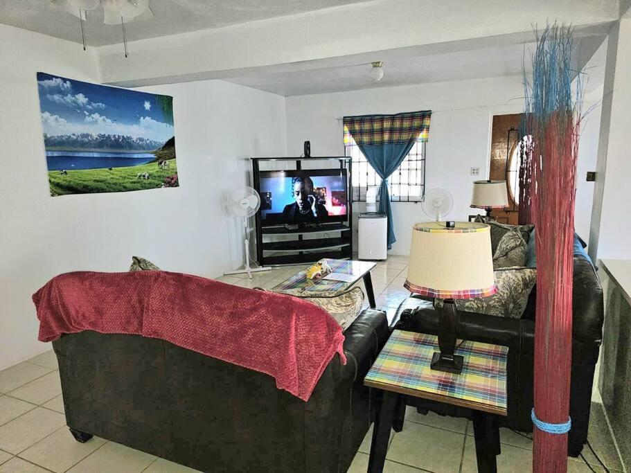 a living room with a couch and a tv at Veronica's Tropical Oasis in Christiansted