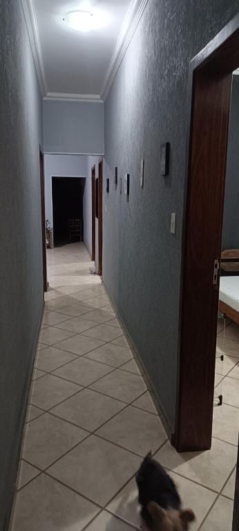 Foto da galeria de Hostel Kinu em Belo Horizonte