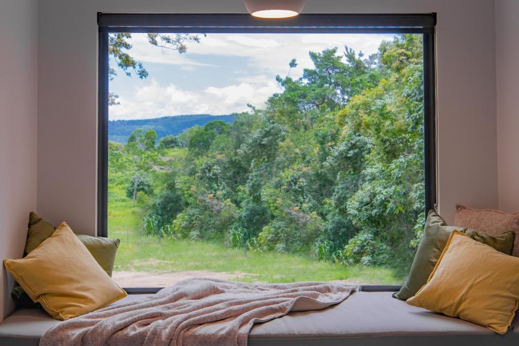a large window with a view of a forest at Moondance in Strathdickie