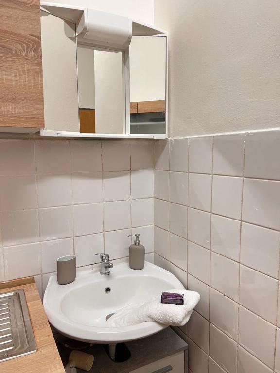 ウィーンにあるLuxus Apartmentのバスルーム(洗面台、鏡付)