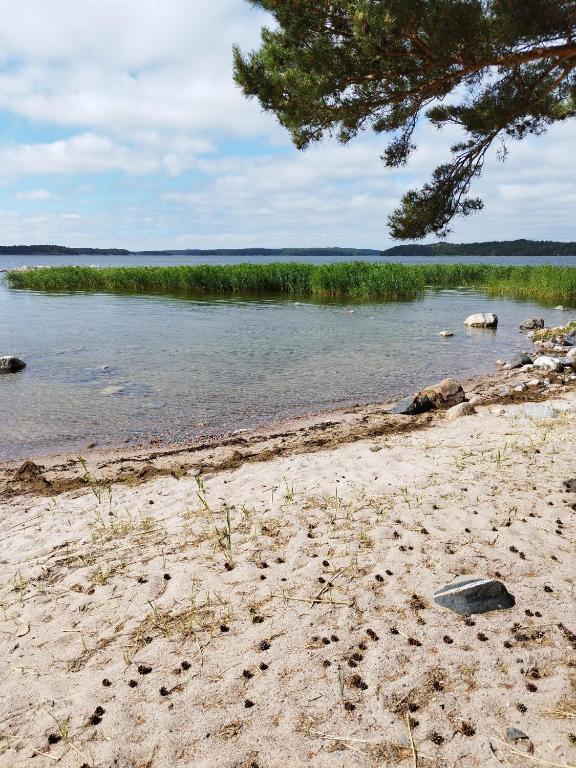 a beach with a tree and a body of water at Topsala Seaside in Houtskari