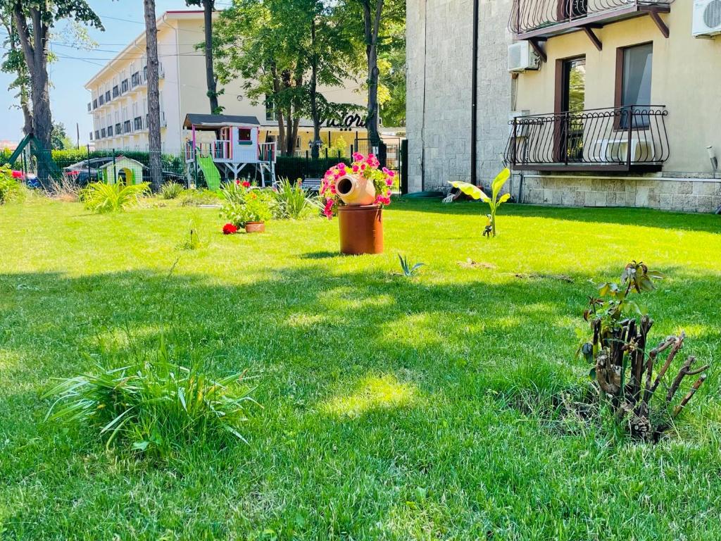 a yard with a vase of flowers in the grass at Hotel Hermes in Eforie Nord