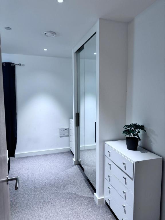 una habitación con un espejo y un tocador con una planta. en Canning Town London Hub Aptmt, en Londres
