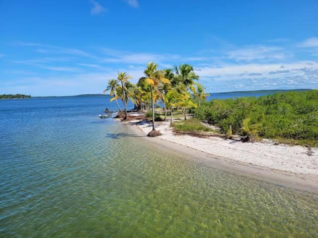 una playa vacía con palmeras y el océano en Casa Amarela em Camamu - BA, en Camamu