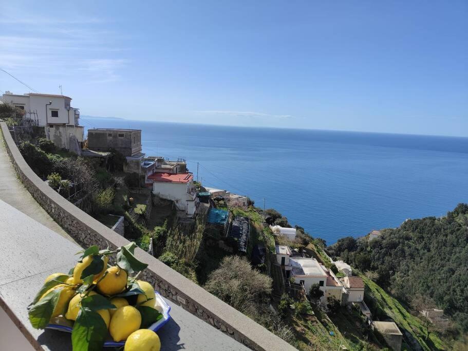 a bunch of fruit sitting on a ledge near the ocean at Piccola Perla in Amalfi