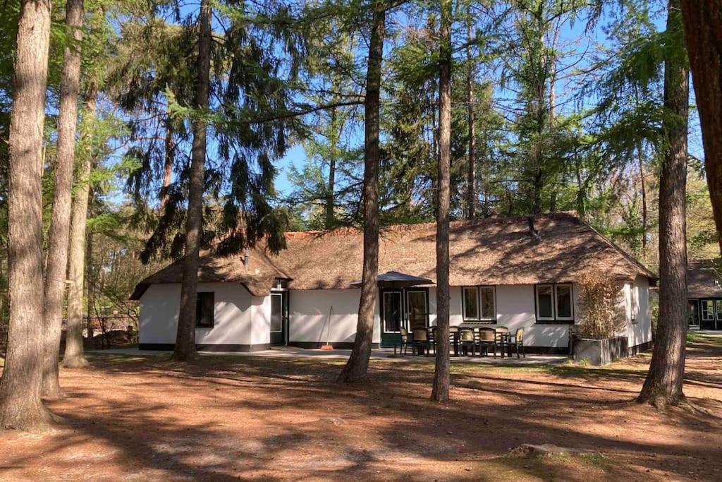 Familiehuis de Lariks - 12 persoons villa op de Veluwe, Otterlo – 2024 ...
