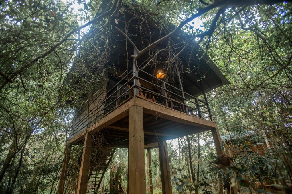 una casa en el árbol en medio del bosque en INN On The Tree Eco Resort Sigiriya, en Sigiriya