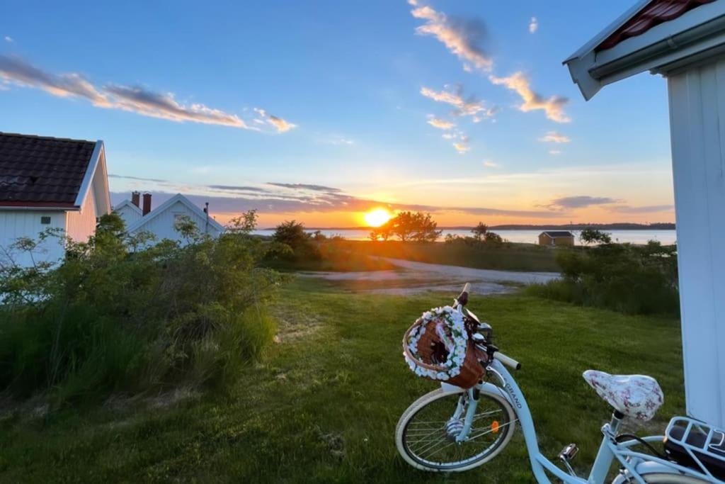 a bike parked in the grass with the sunset in the background at Bestemors hus - med kystnær beliggenhet in Fredrikstad