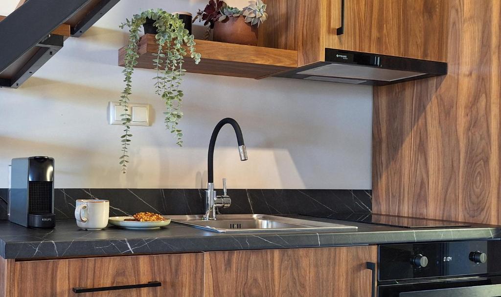 a kitchen with a sink and a counter top at Welcome Inn in Paleo Tsifliki