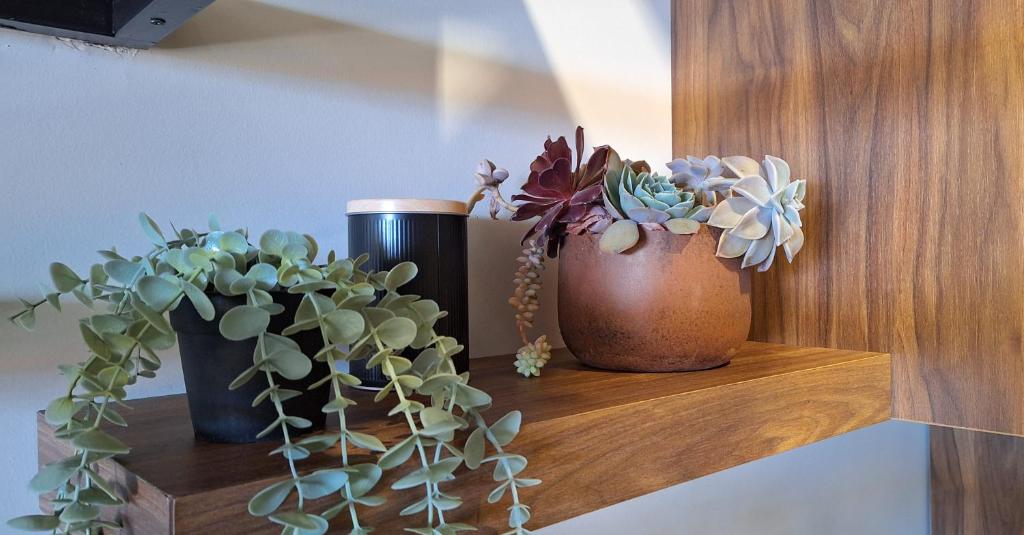 two potted plants sitting on a wooden shelf at Welcome Inn in Paleo Tsifliki