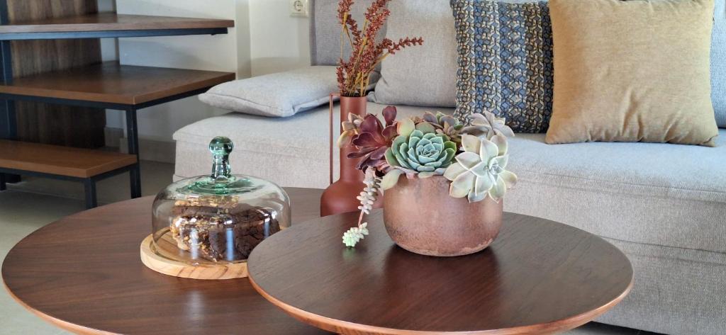a wooden coffee table with a vase with plants on it at Welcome Inn in Paleo Tsifliki