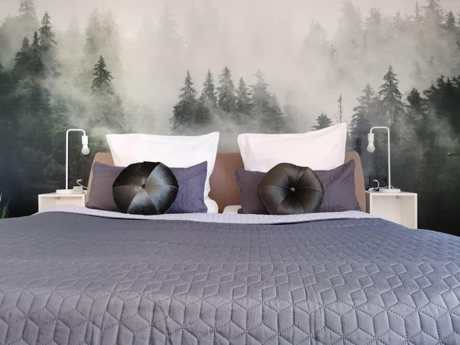 una camera da letto con un grande letto con due grandi cuscini di Geräumige schöne Ferienwohnung stadtnah ruhig Nähe Bodensee mit Aussicht a Weingarten