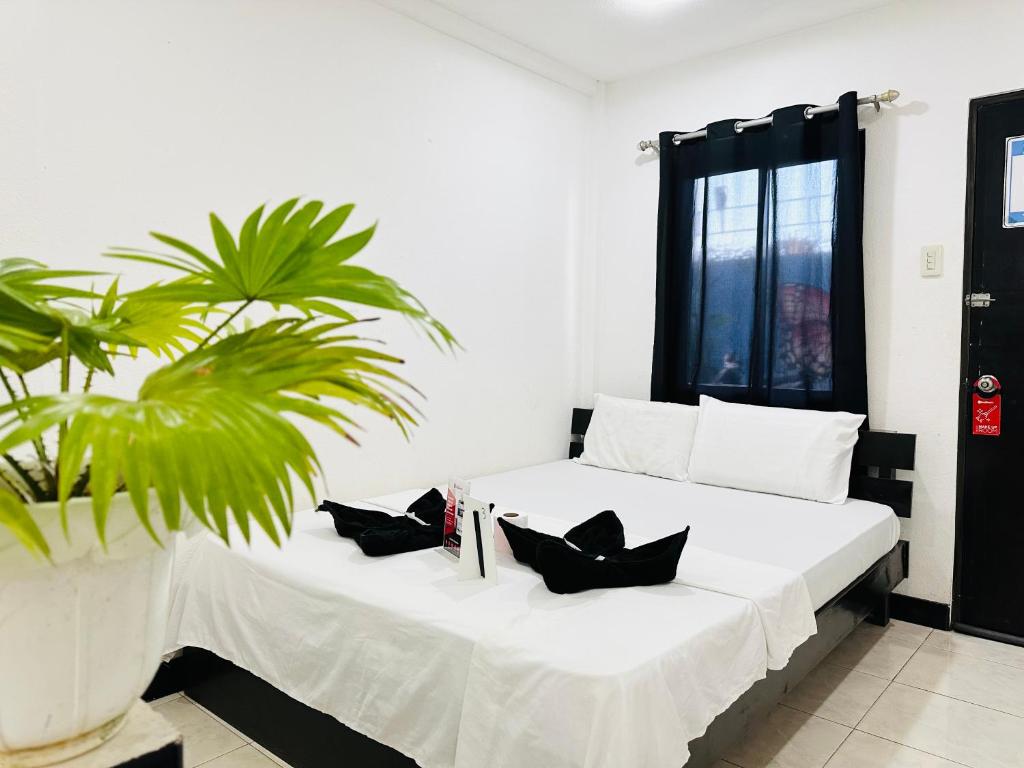 Habitación con cama blanca y planta en Buenas Pension House en Puerto Princesa