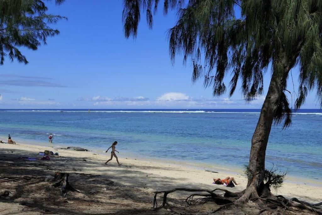 a person walking on a beach with a palm tree at T4 à 3mn à pied du lagon in Saint-Leu