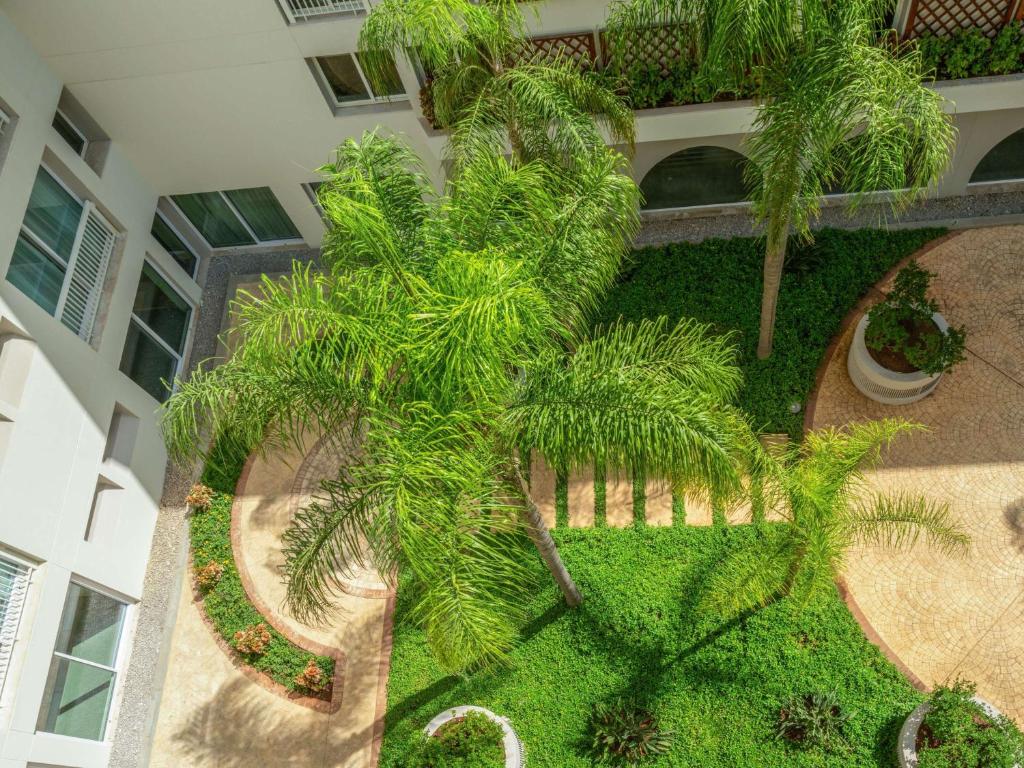 Zahrada ubytování Mövenpick Hotel Beirut