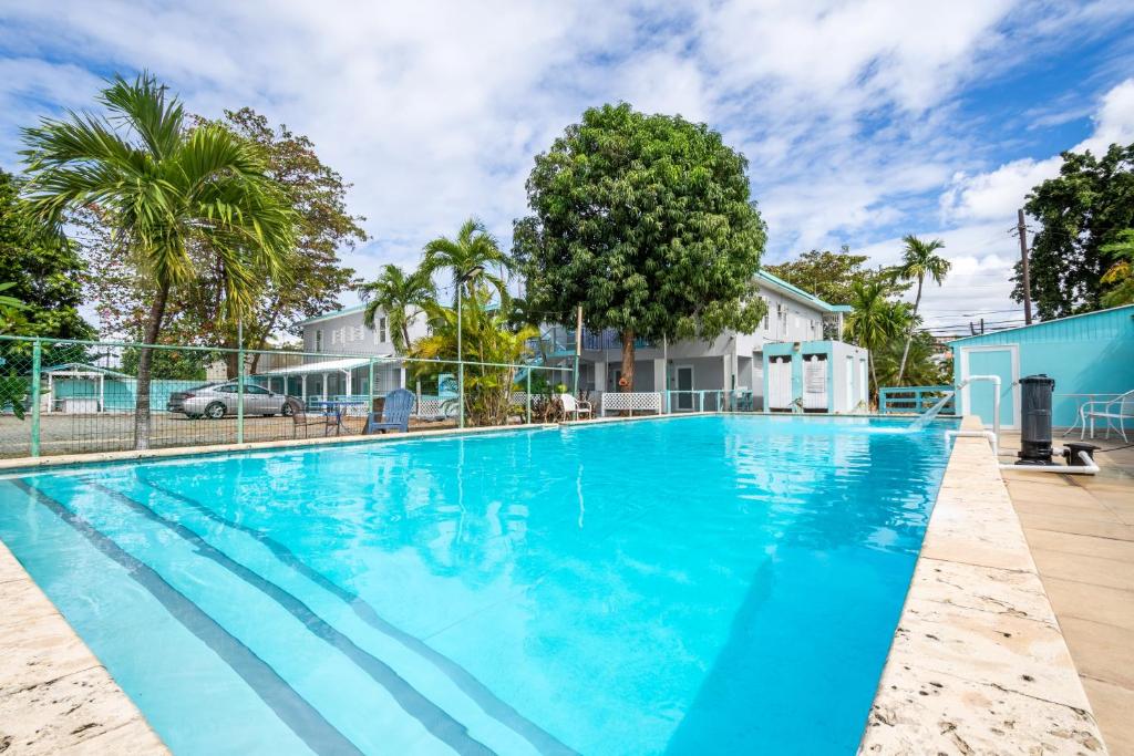 uma grande piscina azul com palmeiras em West Coast Inn's em Rincon