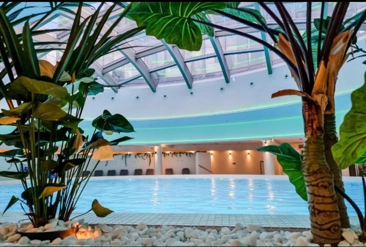 a swimming pool with a palm tree in a building at Hanza Tower Casino & Pool & Jacuzzi & Sauna in Szczecin